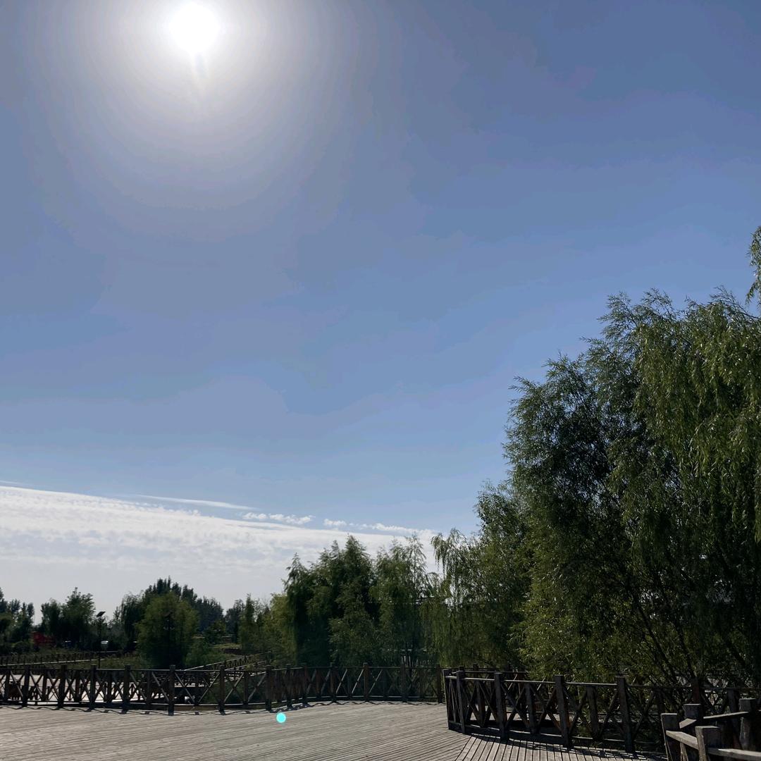 大气马哥