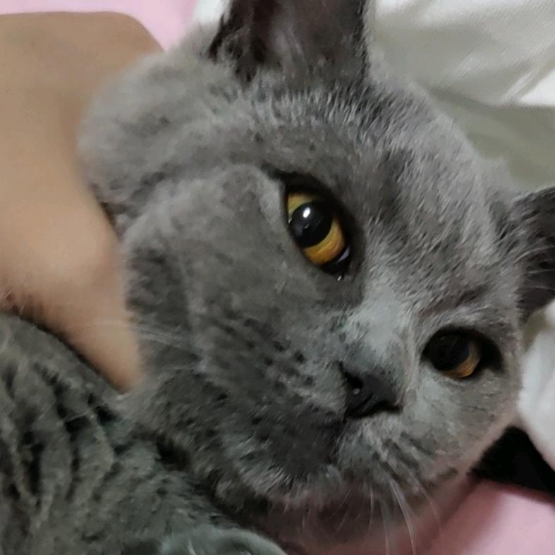 要努力变强e头像