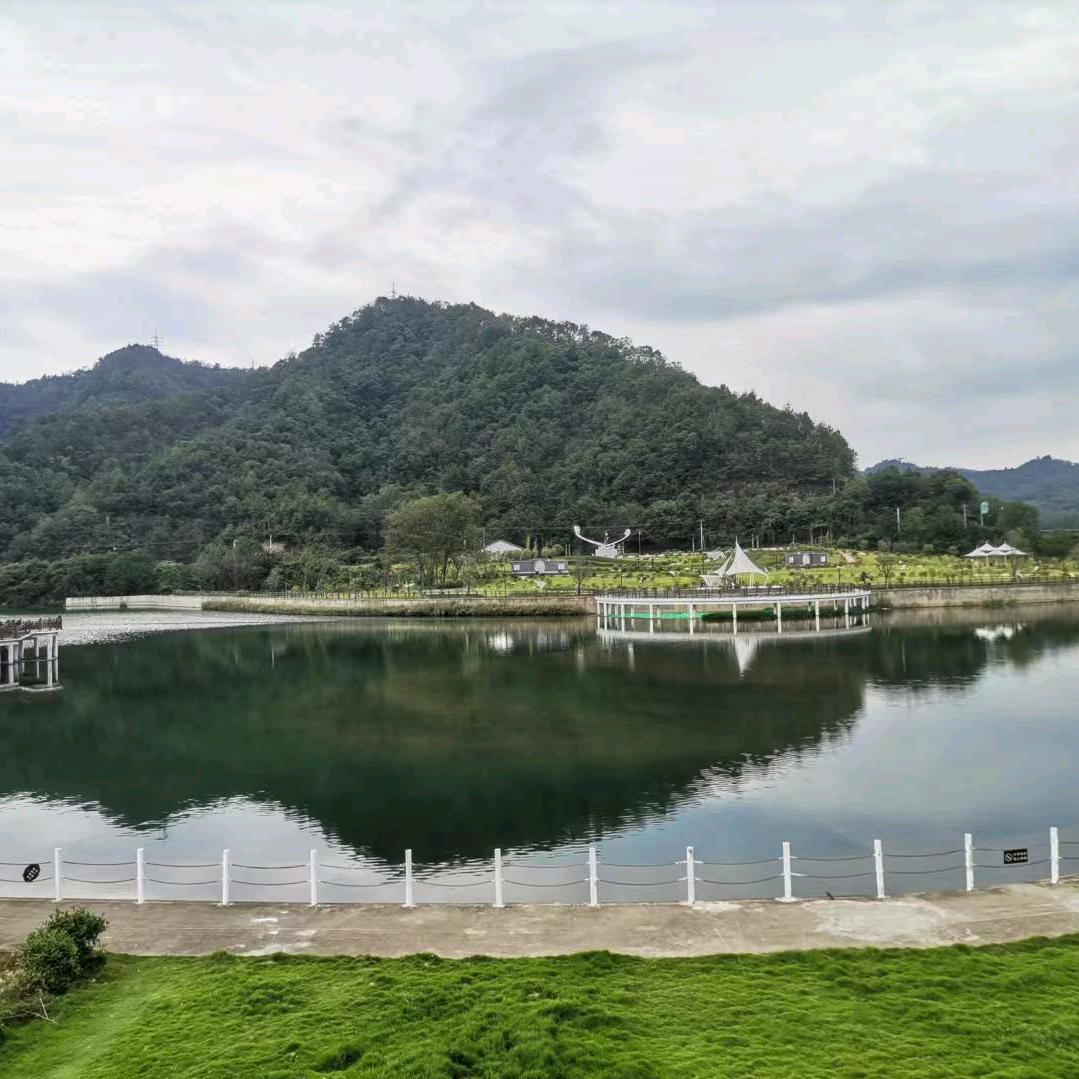 阿峰科普