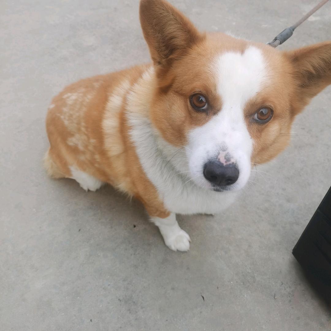 不要计较，人生短暂。