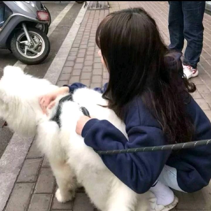 嘿嘿