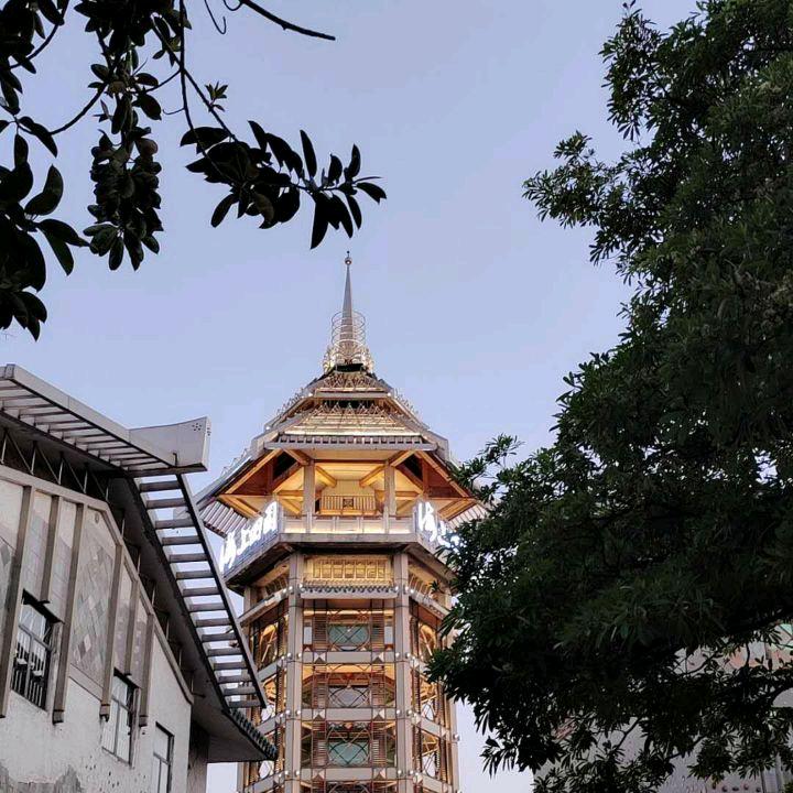 初心✌️