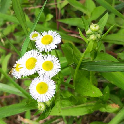 越努力岳幸运✊🏻