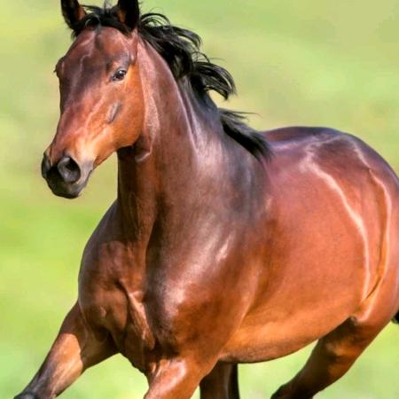 湖北钟祥中草药材房博艺