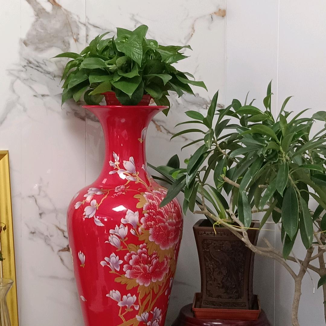 老经