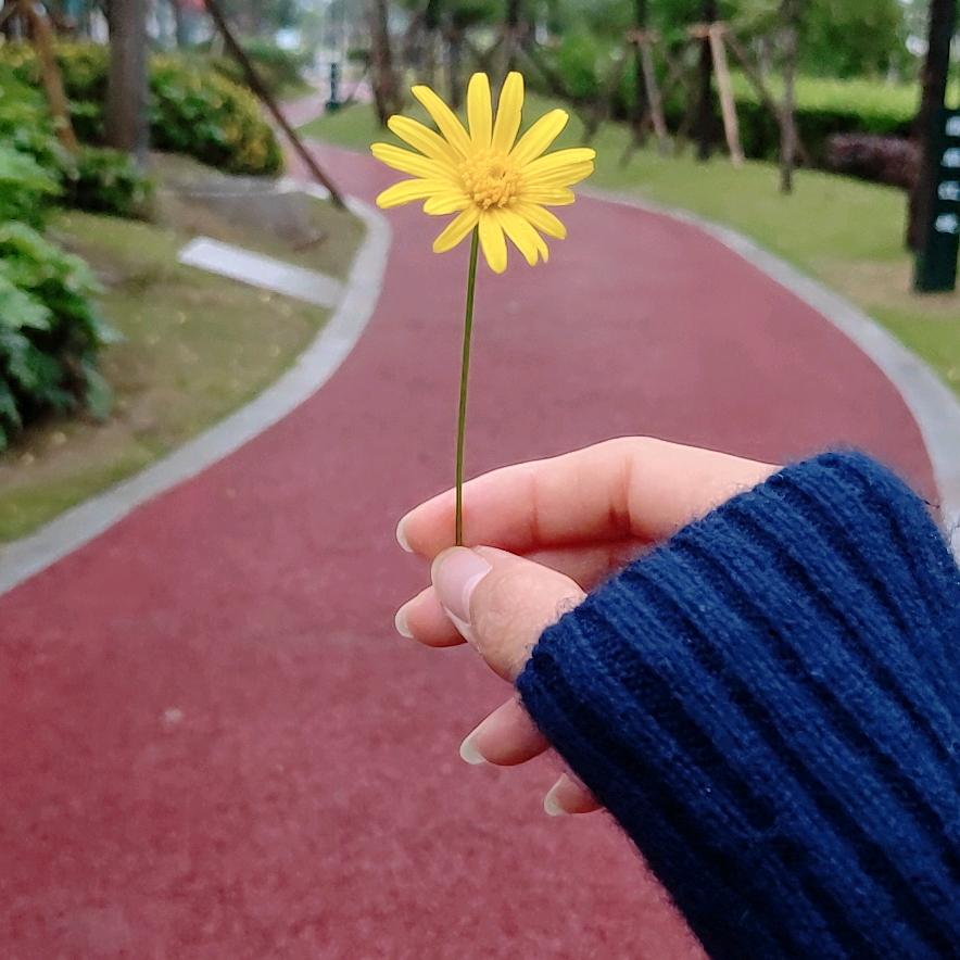 森屿旅人