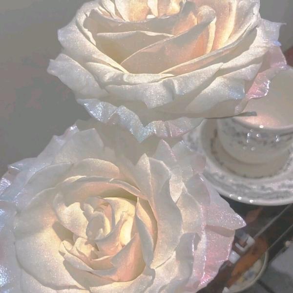 纯情舒芙蕾