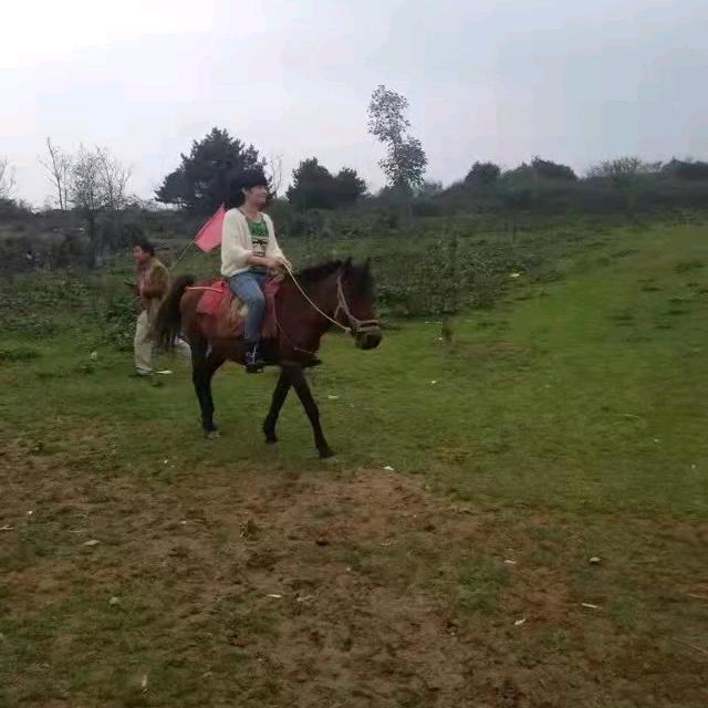 jiao~jiao