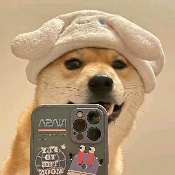 say  hai