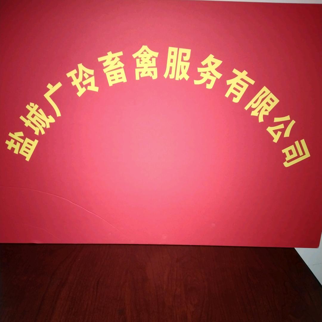 广玲专业防疫～挑鸡