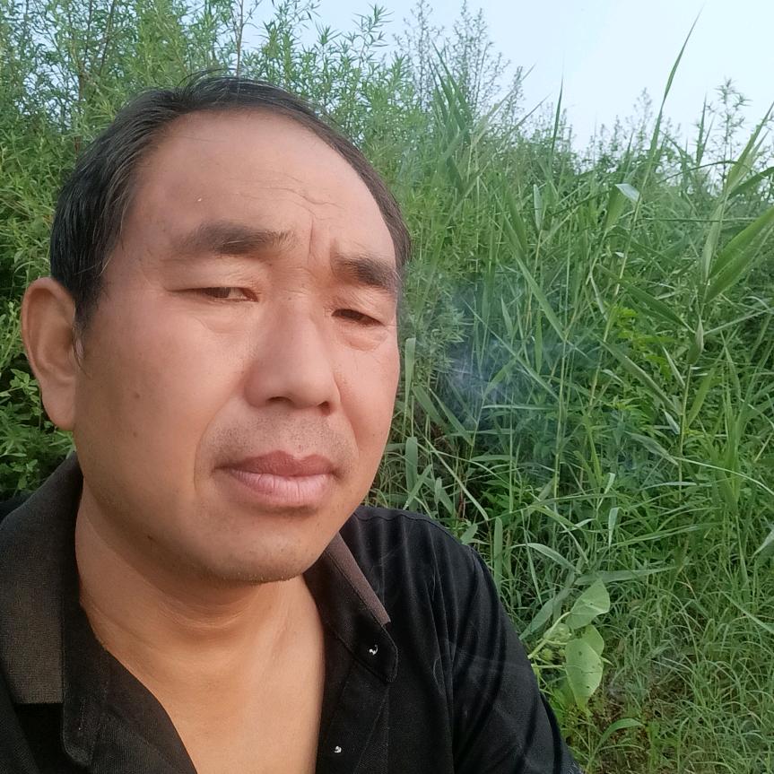 洛阳司马哥