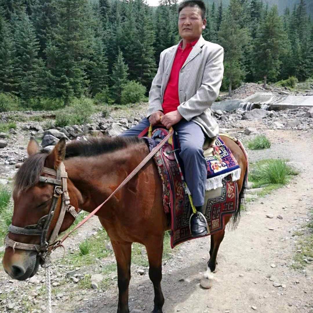 爱在友情
