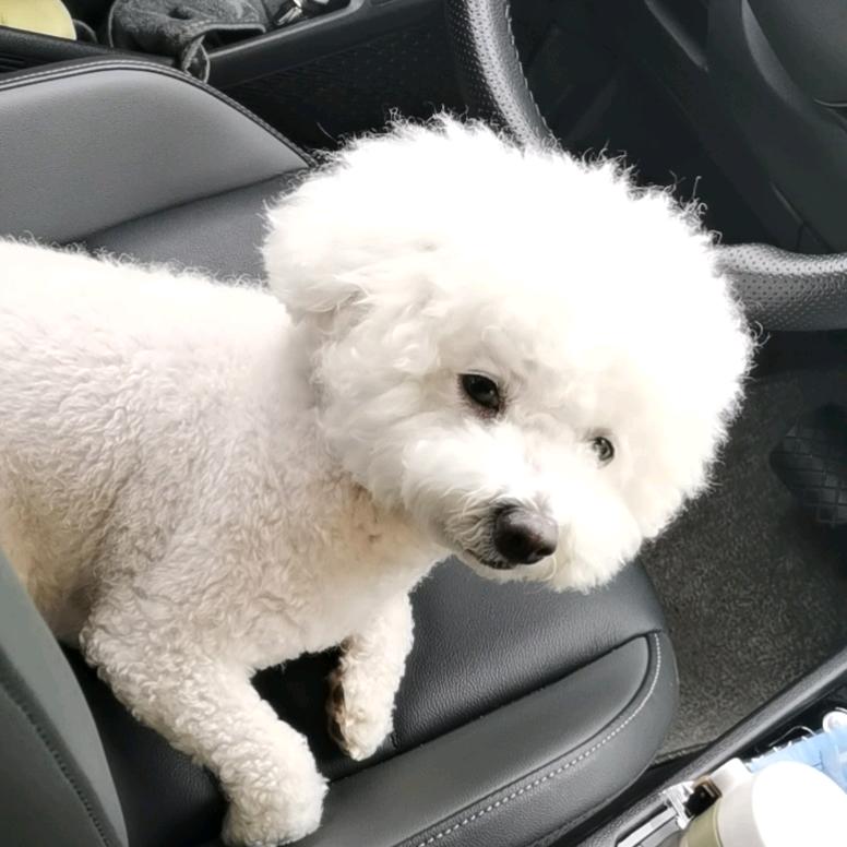 两耳不闻窗外事