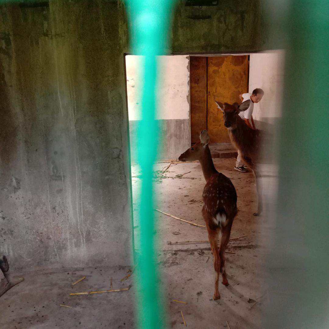 海峡俩岸,(亿家亲)