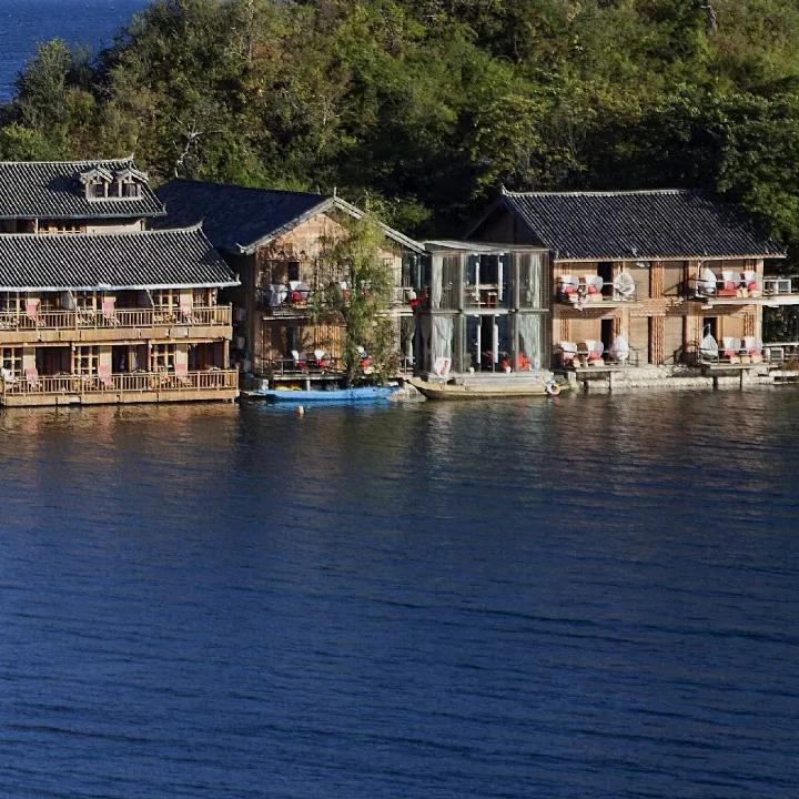 小红薯