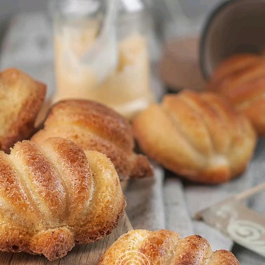 爱吃螃蟹的猫🌞