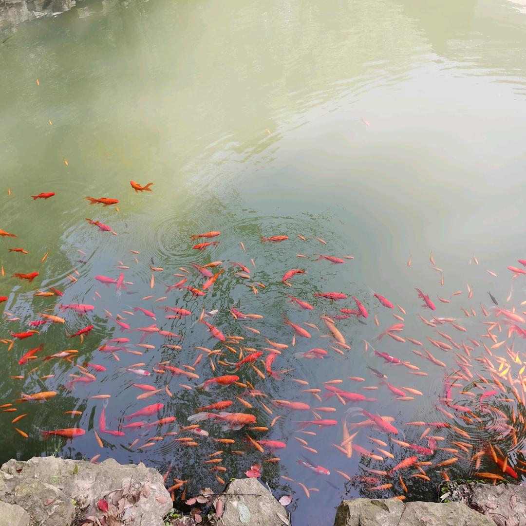 让生活充满快乐😊