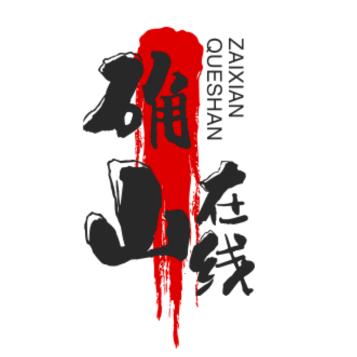 QSZX1