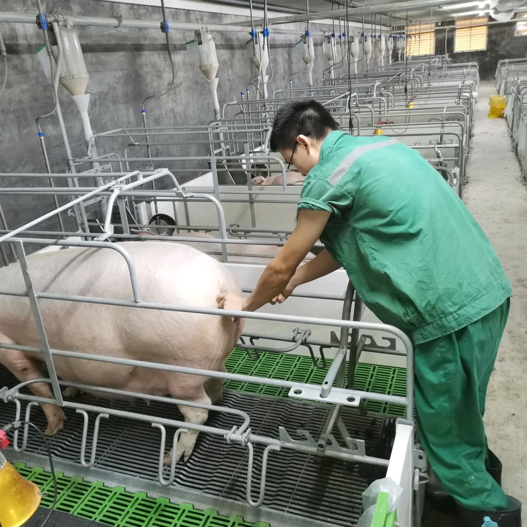@天蓬🐖