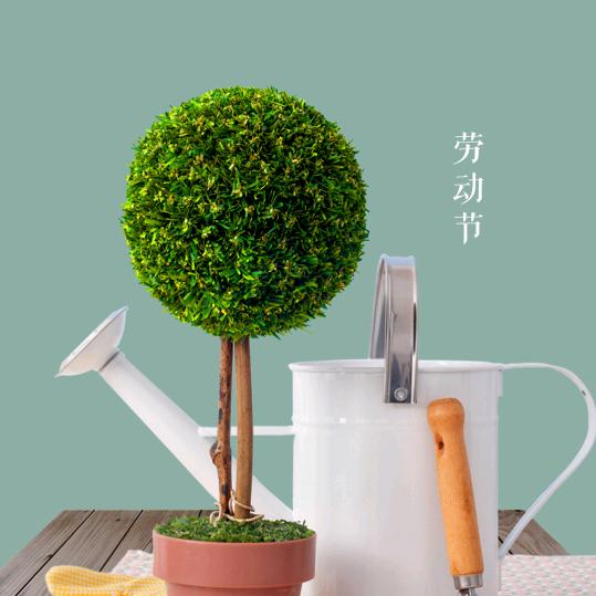 人生看淡