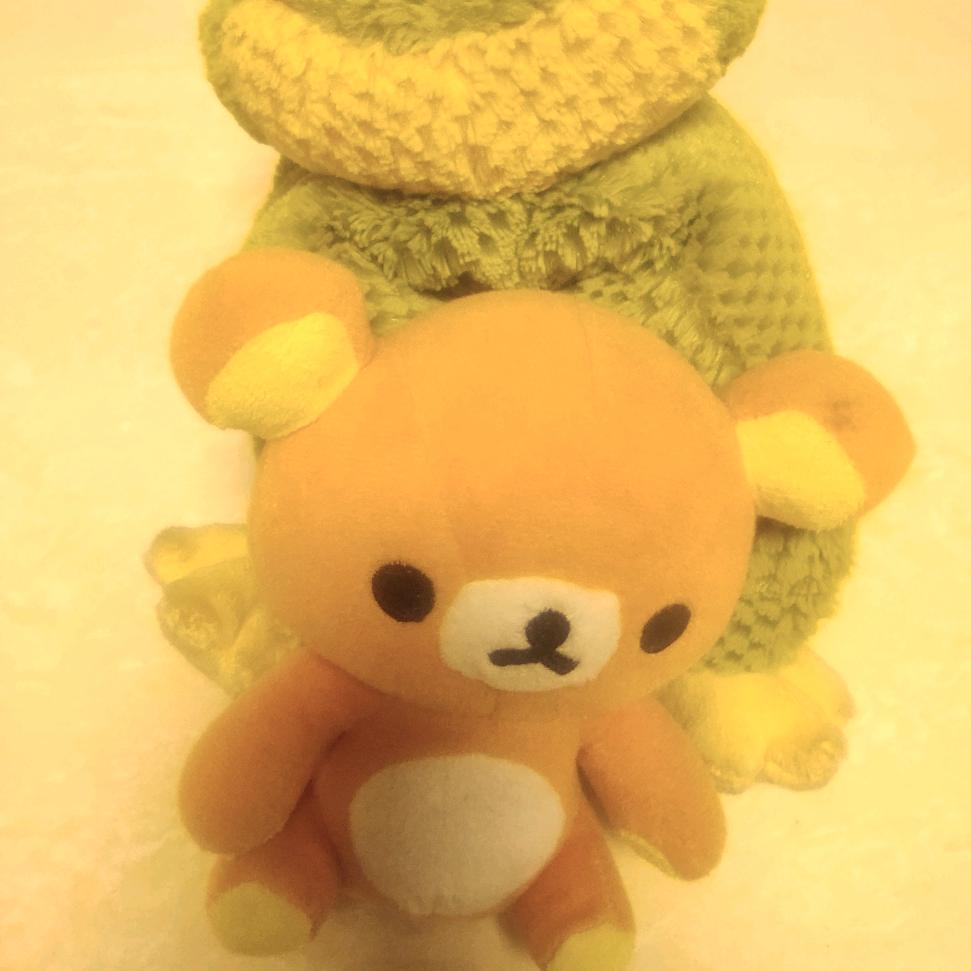 风景优品百货（橱窗有好货）👇