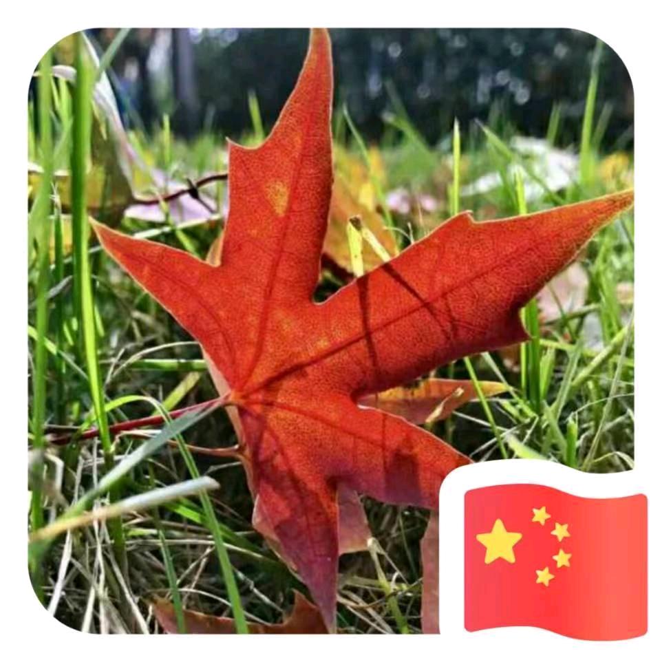 红叶