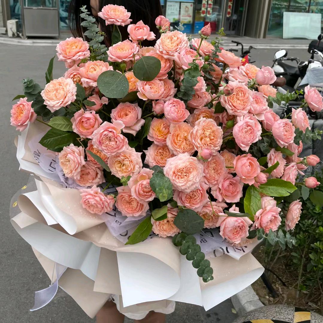 梦马生花