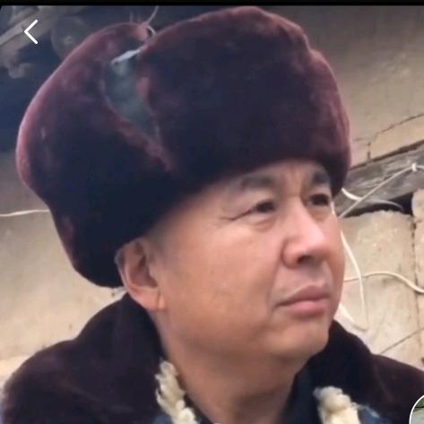 杨哥·