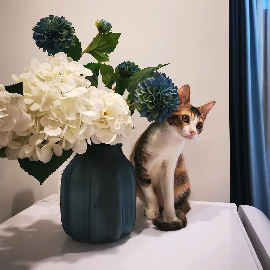 小敏啦
