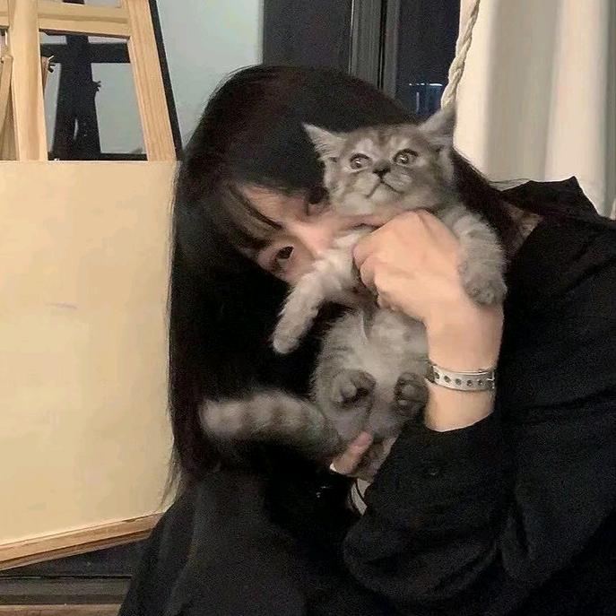 荷兰小乳猪