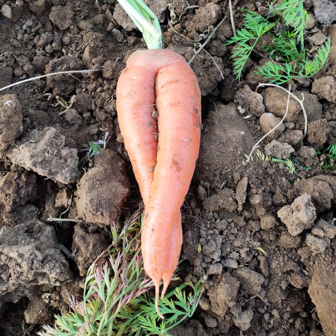 天边的云一朵☁