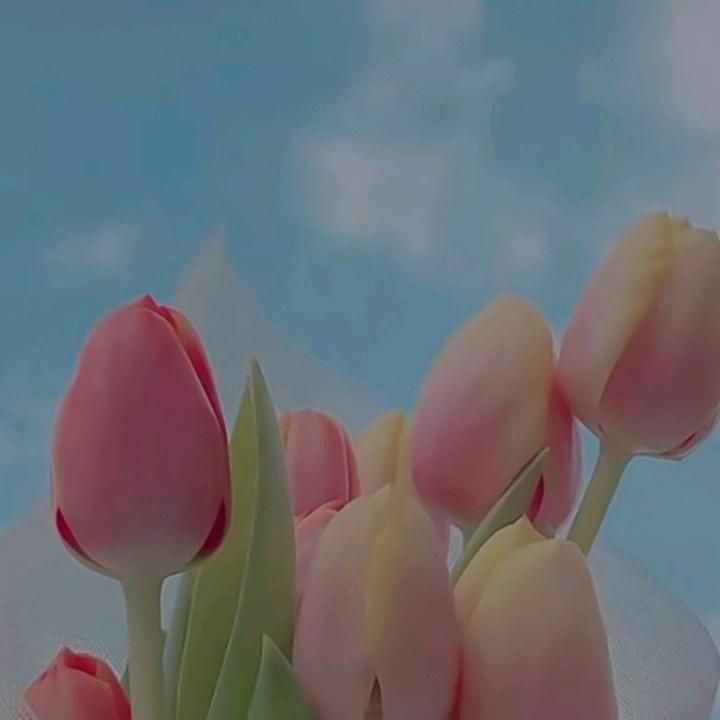 爱。