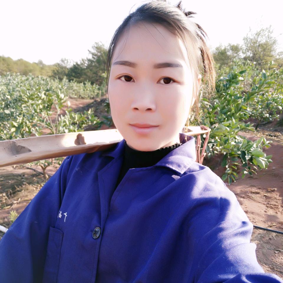 大信丰脐橙花姐