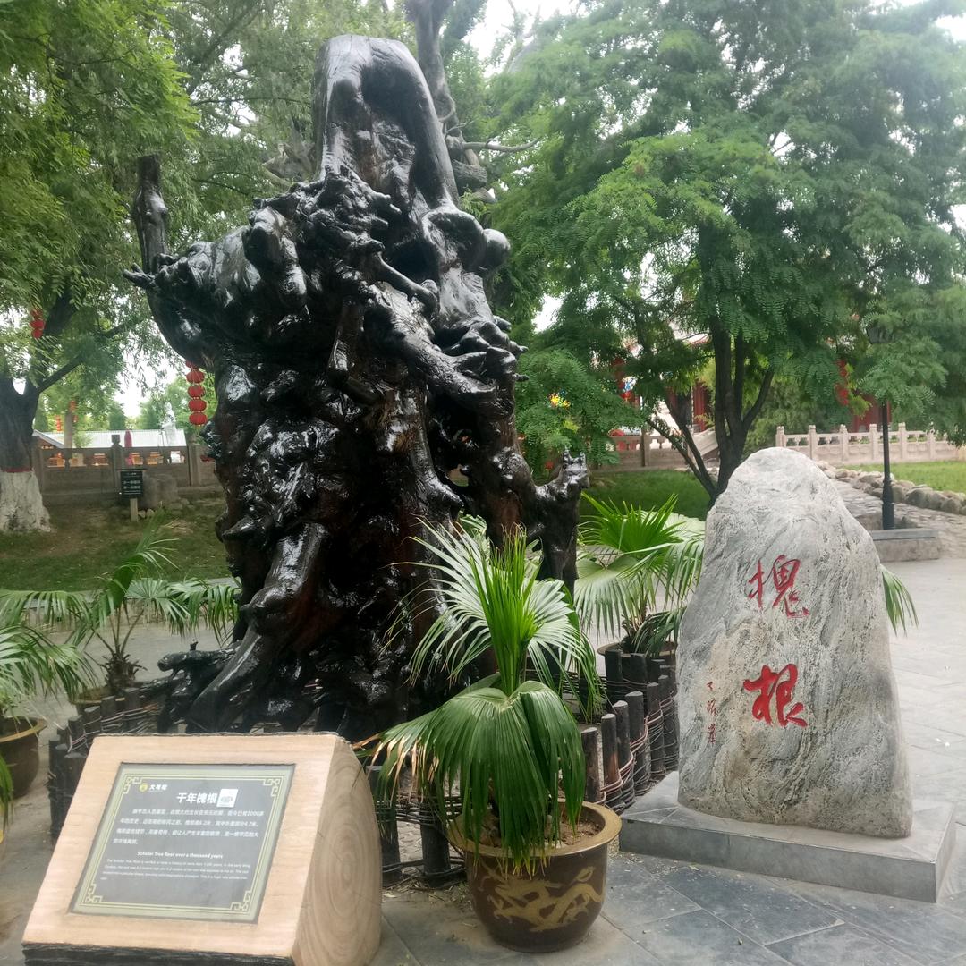 兴阿驾校培训班:杨教练