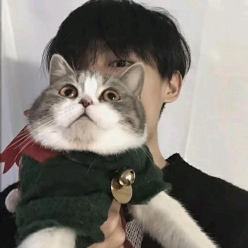 ゛不吃猫的鱼
