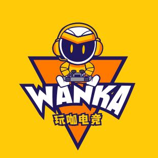 玩咖电竞(凤岗店)官方号