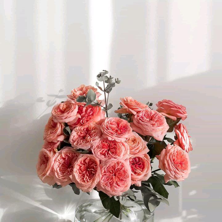 @望