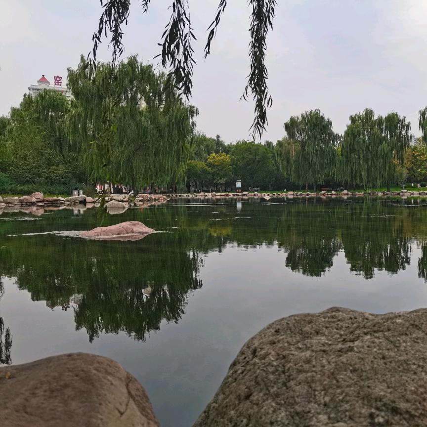 晨曦之光