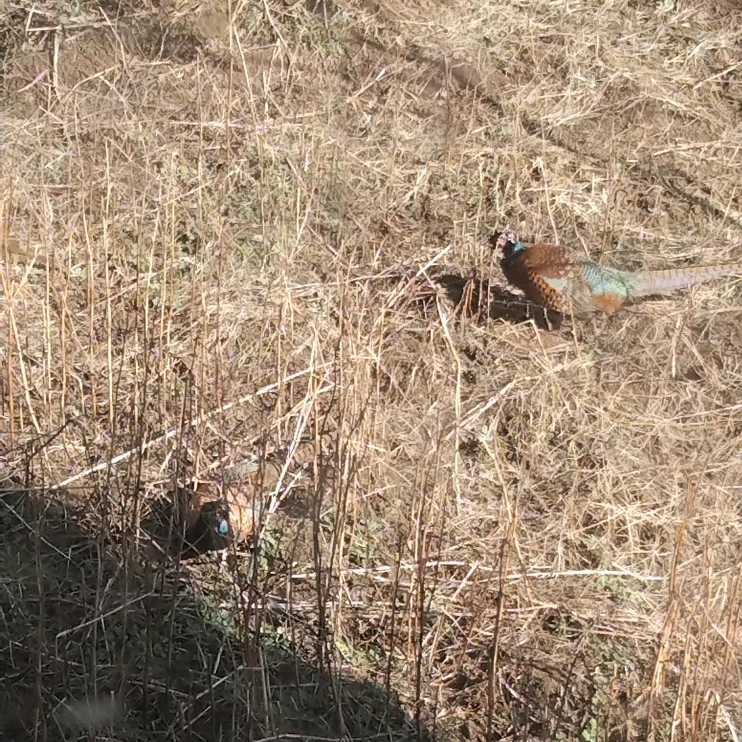 无欲则刚🤑🤑🤑🤑🤑