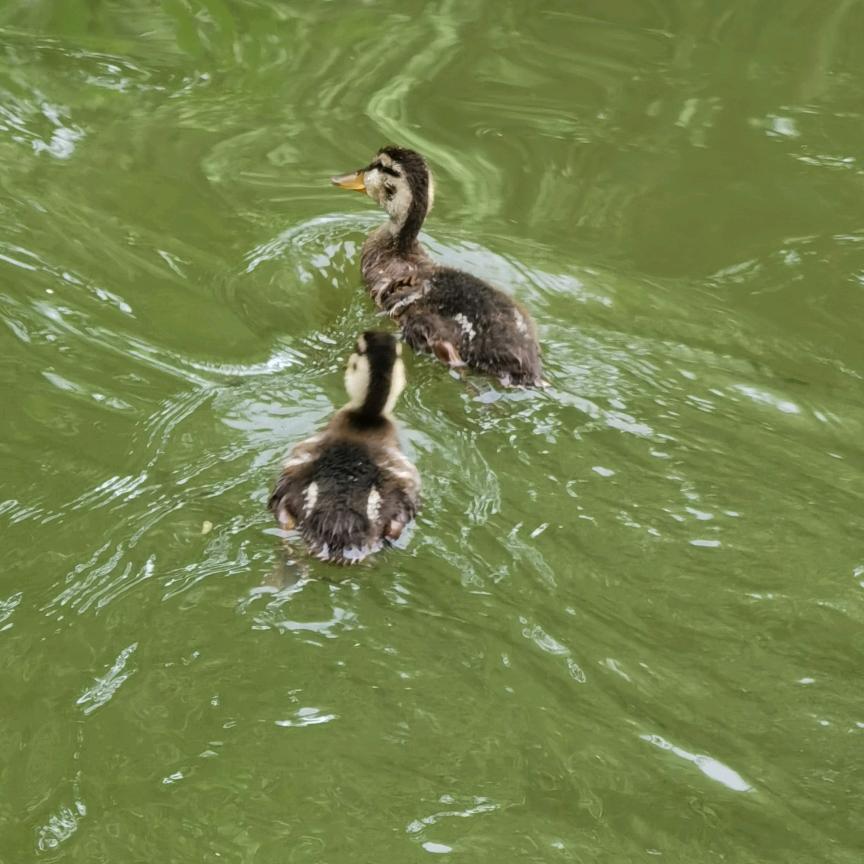你若安好便是晴天❤️
