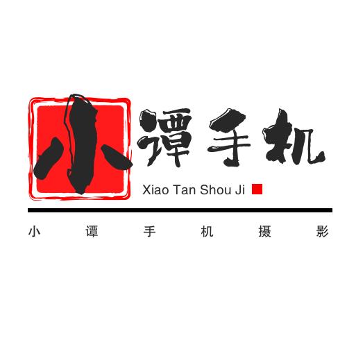 地摊小谭头像