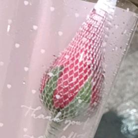 心想柿成2涨粉中