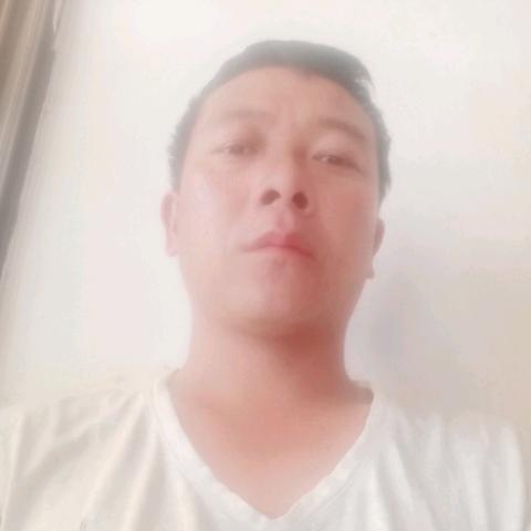 带工拨葱张金党