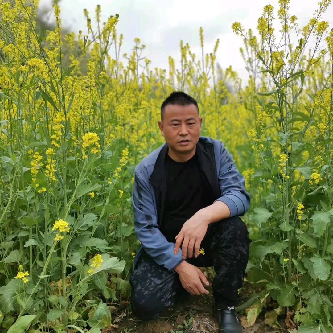 随遇而安郑三哥🐟🐟