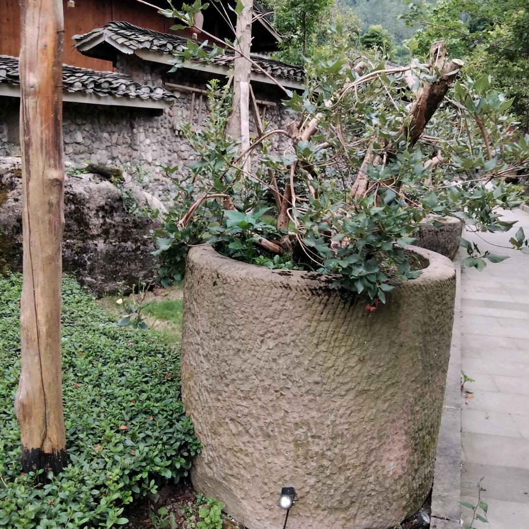顺意理发店