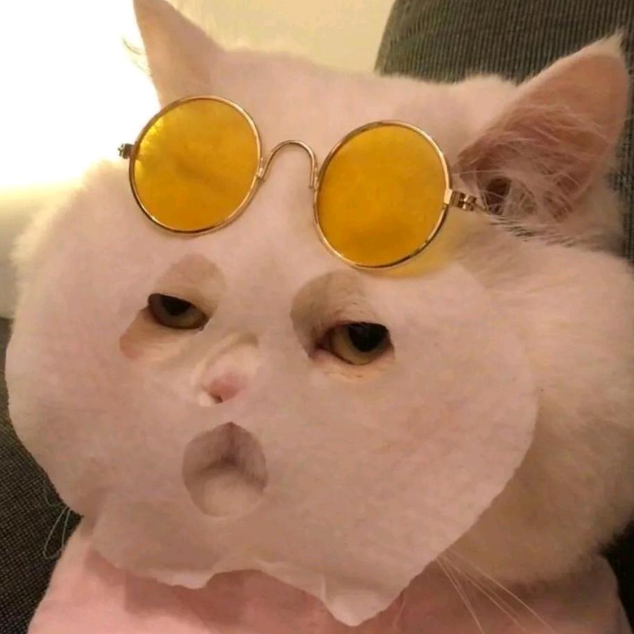 偷星星的孩子