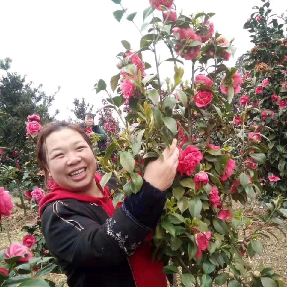 快快乐乐过每一天