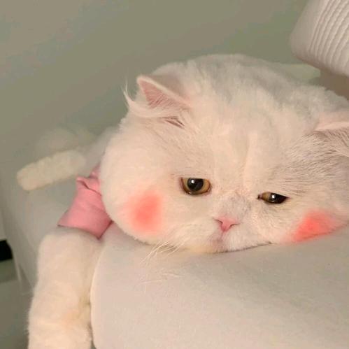 阿娇啊