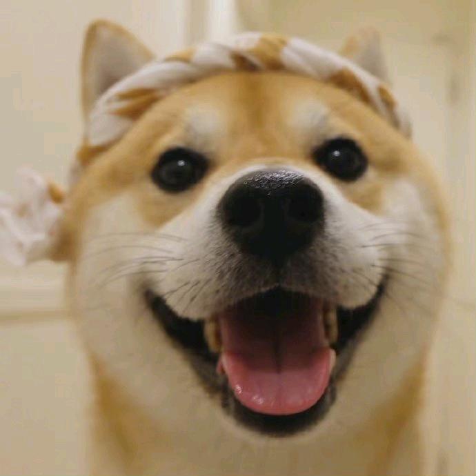濠视频