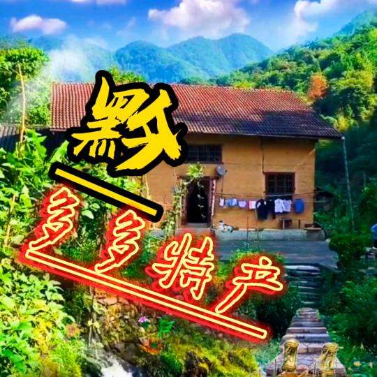 大方县杜洋百货经营部